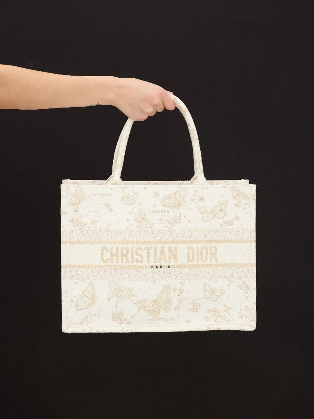 Christian Dior  Canvas Book Medium 2022